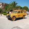 Montevago 2010 (305)